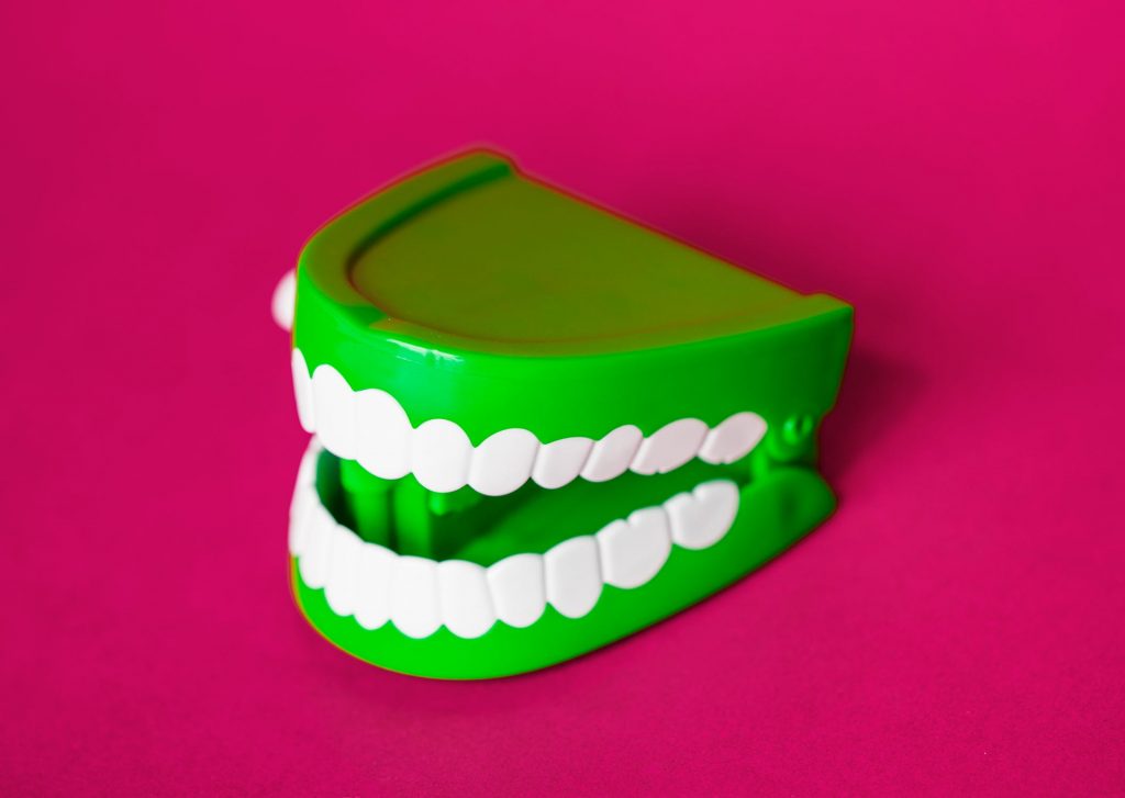 Green & White Denture Toy